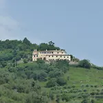 Tuvo
