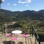 Tuvo *