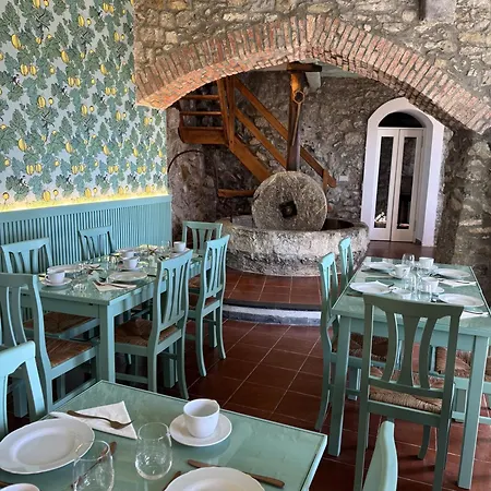 Tuvo * Λεβάντο