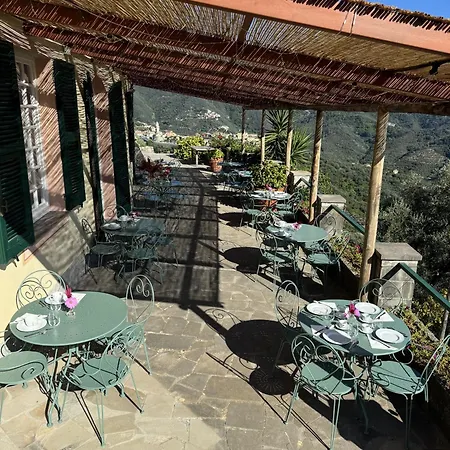 Tuvo Levanto
