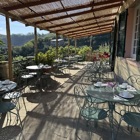 Tuvo Levanto