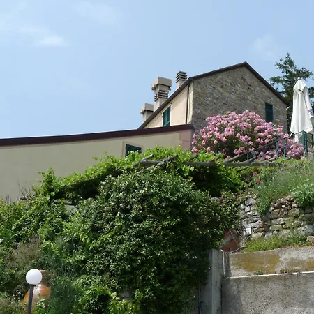 Tuvo