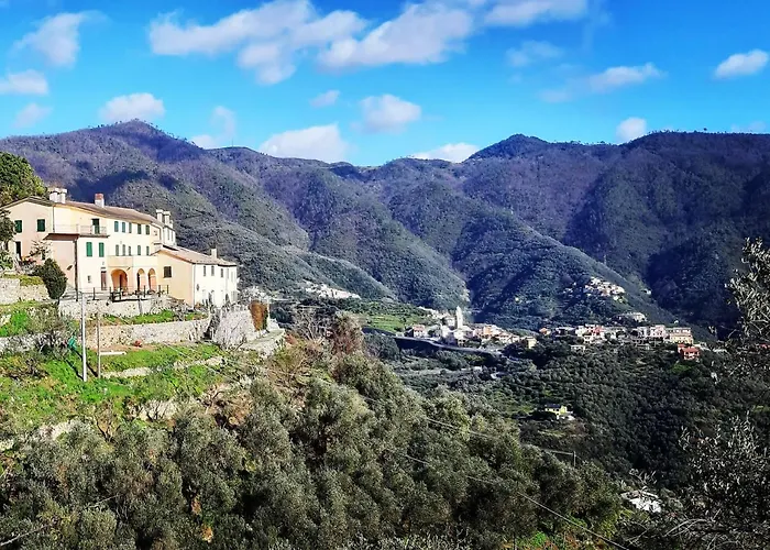 Tuvo * Levanto