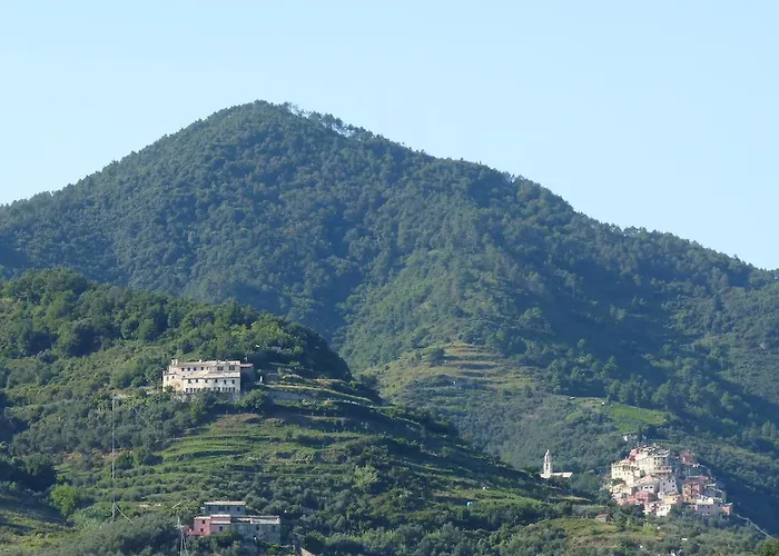 Tuvo