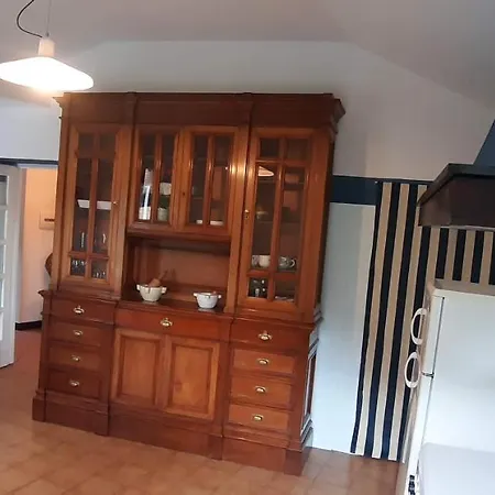 Tuvo