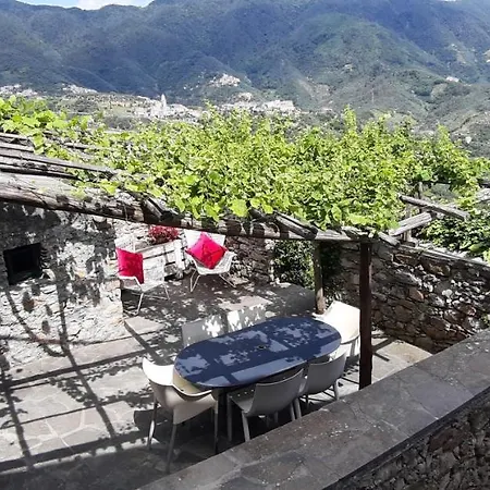 Tuvo 莱万托