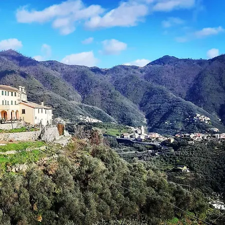 Tuvo * Levanto
