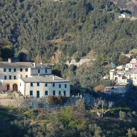 Tuvo Levanto
