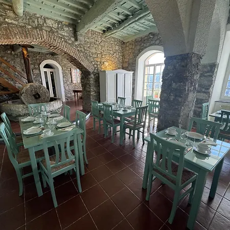 Tuvo Apartment