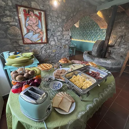 Tuvo Levanto