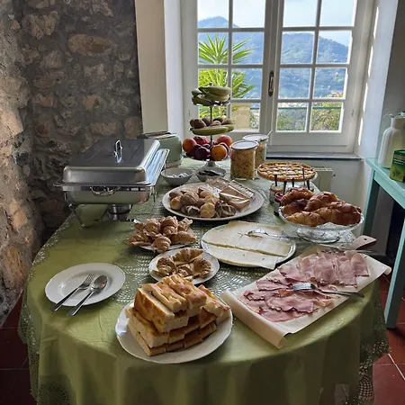 Tuvo * Levanto