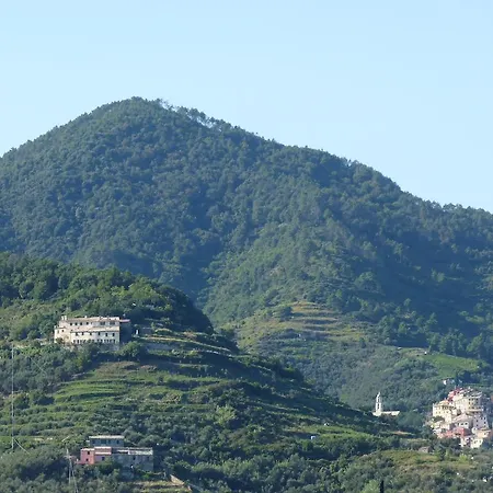 Tuvo
