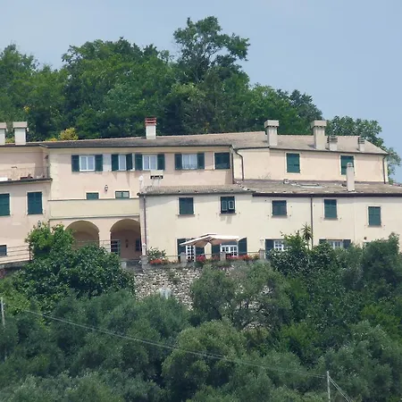 Tuvo Levanto