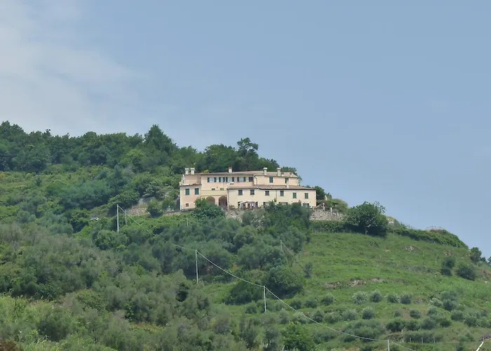 Tuvo