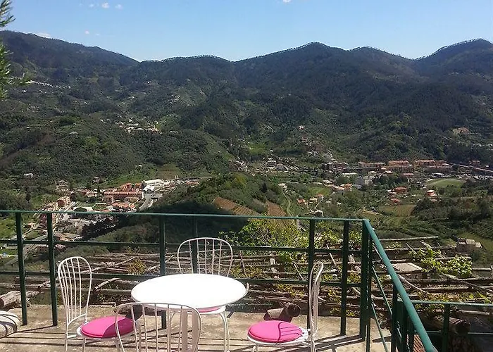 Tuvo *